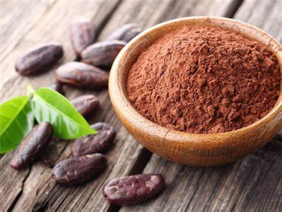 CURIOUS ABOUT CACAO?